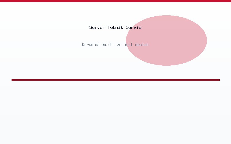 Server teknik servis